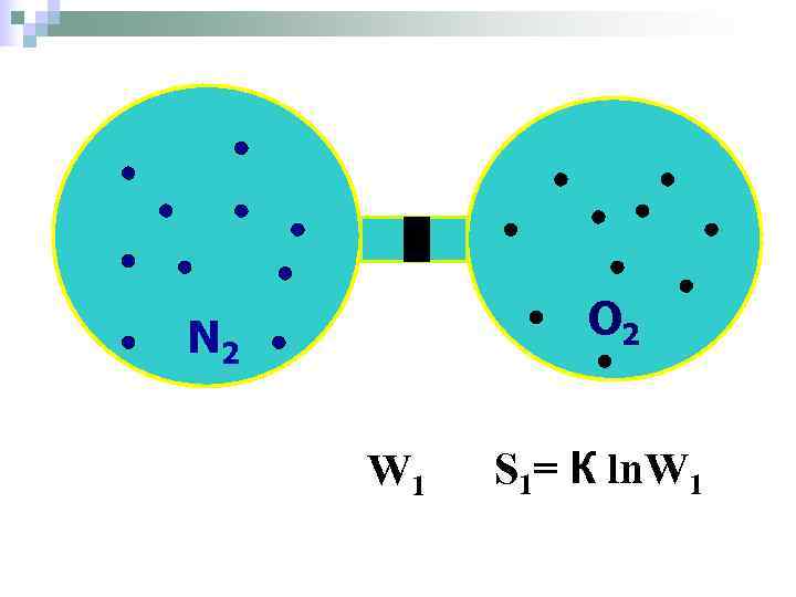N 2  O 2  W 1  S 1= К ln. W