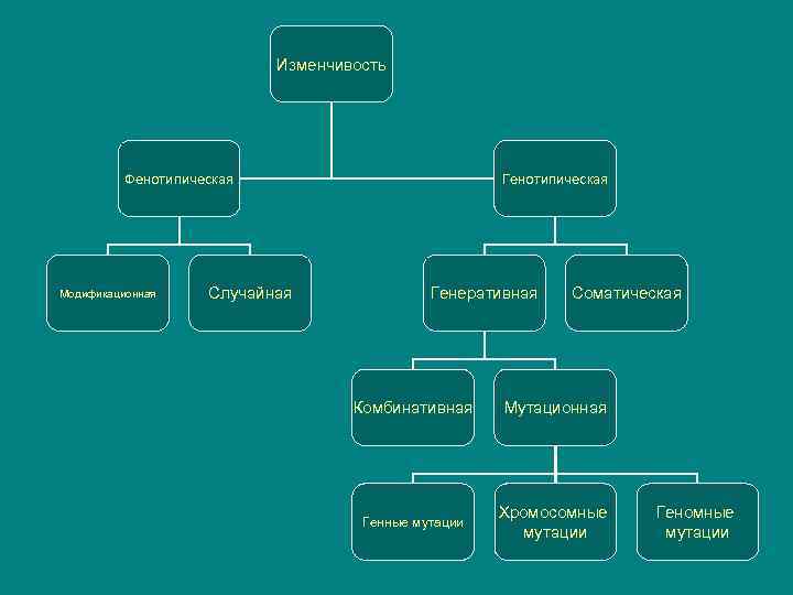 Составьте схему виды изменчивости
