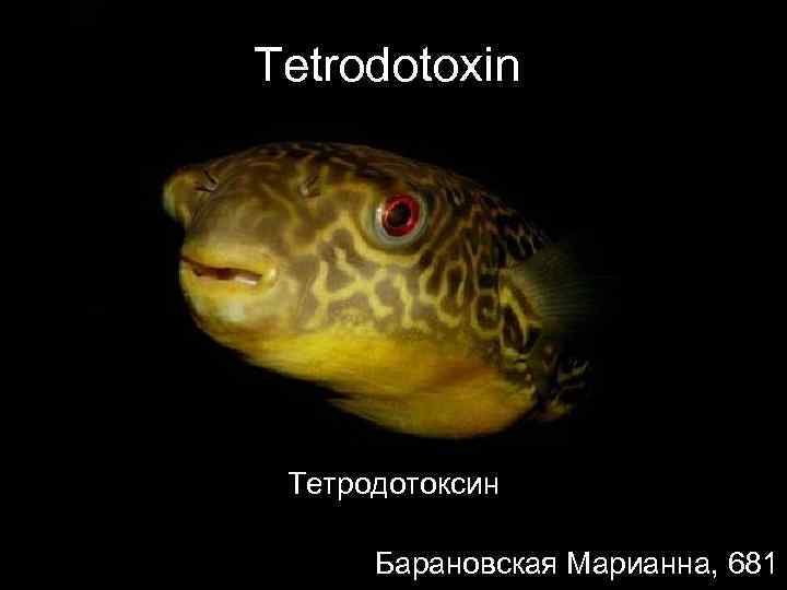 Tetrodotoxin Тетродотоксин  Барановская Марианна, 681 
