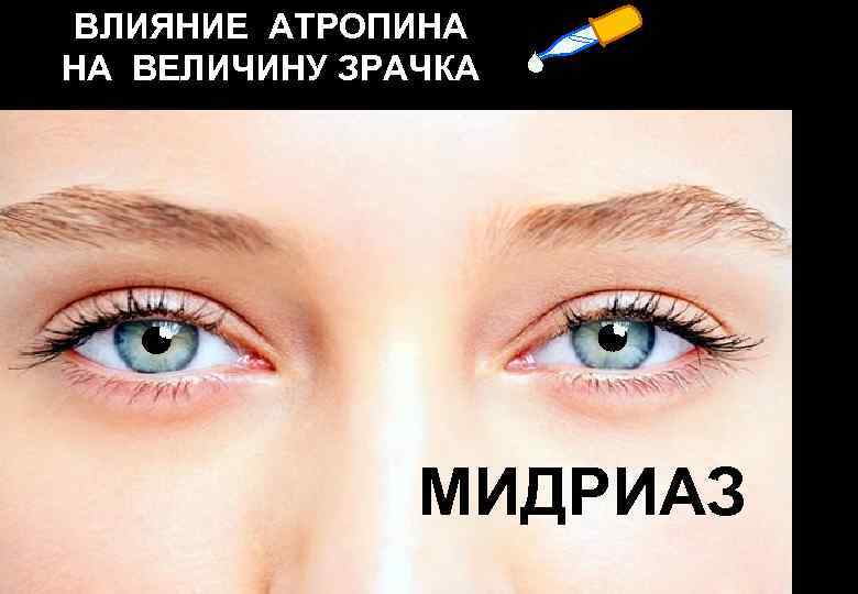 ВЛИЯНИЕ АТРОПИНА НА ВЕЛИЧИНУ ЗРАЧКА    МИДРИАЗ 