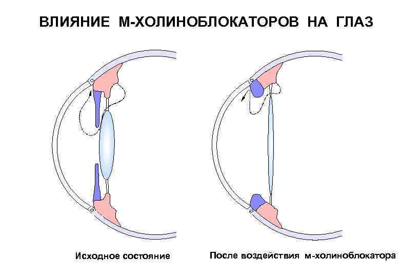 Влияние м