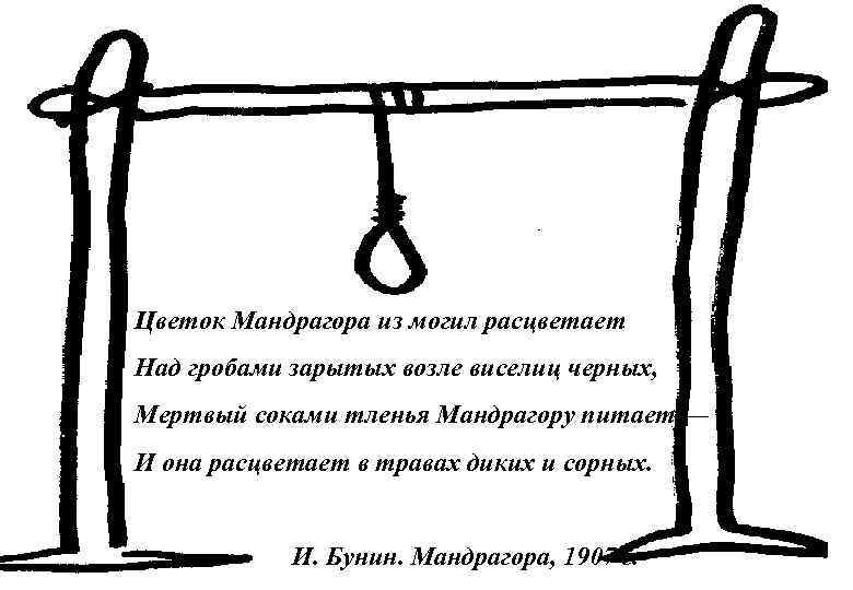 Цветок Мандрагора из могил расцветает Над гробами зарытых возле виселиц черных, Мертвый соками тленья