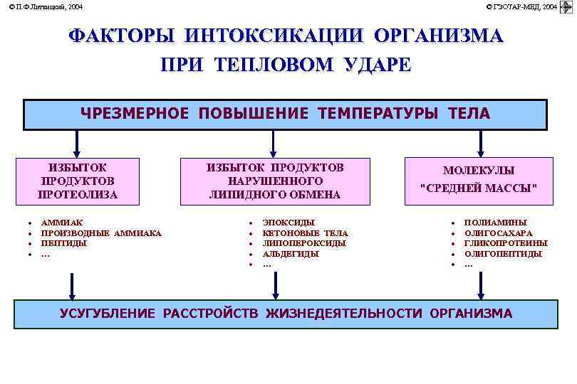 © П. Ф. Литвицкий, 2004         ©