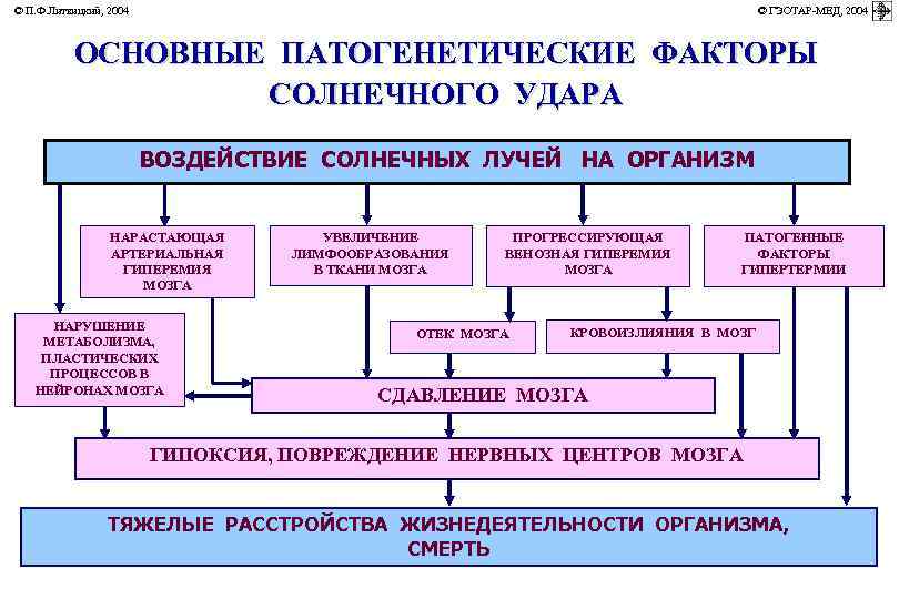 © П. Ф. Литвицкий, 2004         ©
