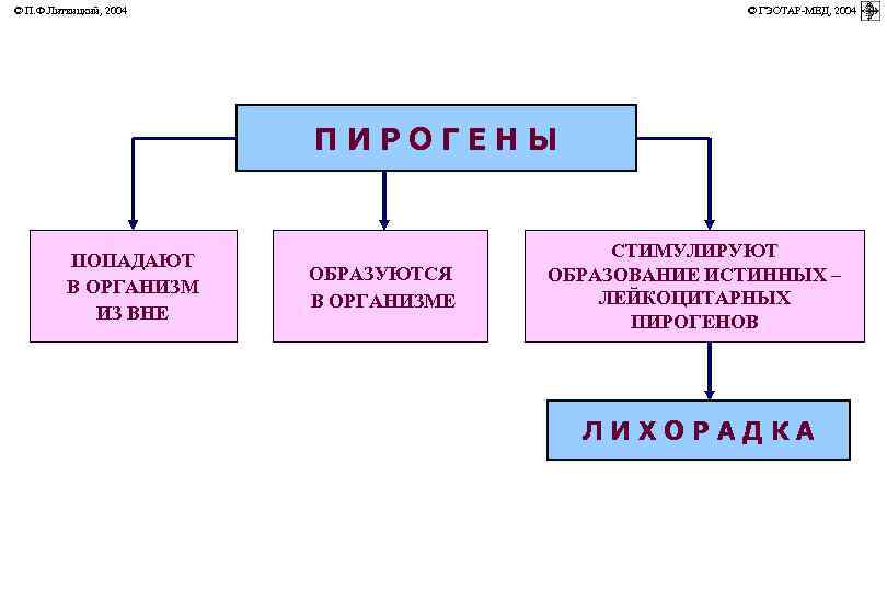 © П. Ф. Литвицкий, 2004         ©