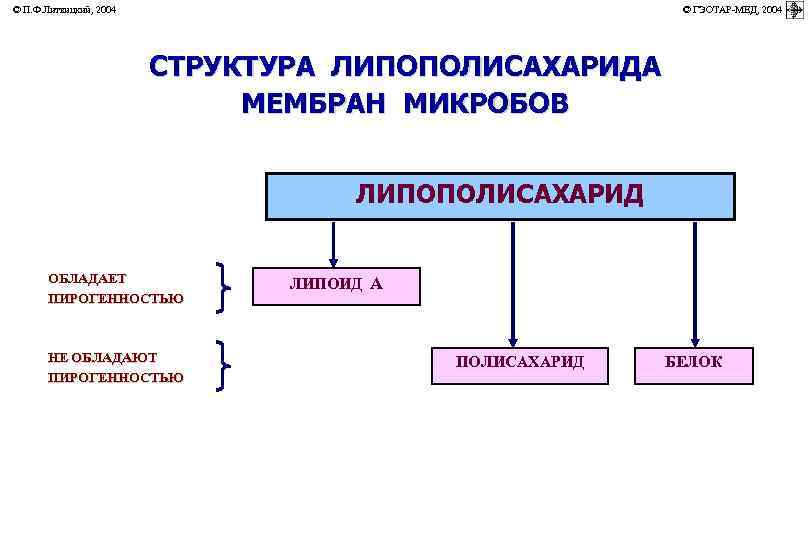 © П. Ф. Литвицкий, 2004         ©