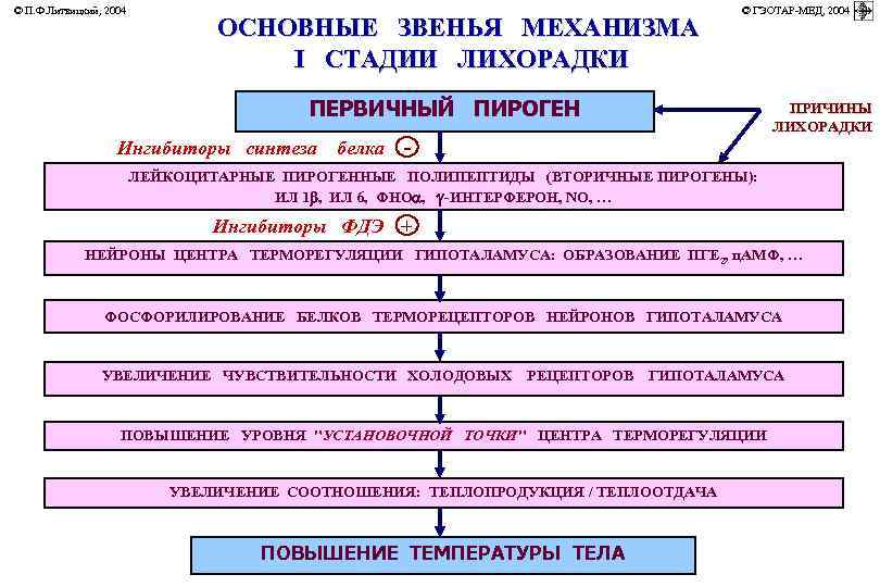© П. Ф. Литвицкий, 2004         ©