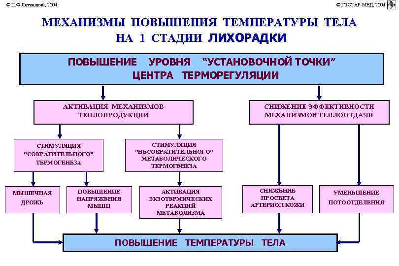 © П. Ф. Литвицкий, 2004         ©