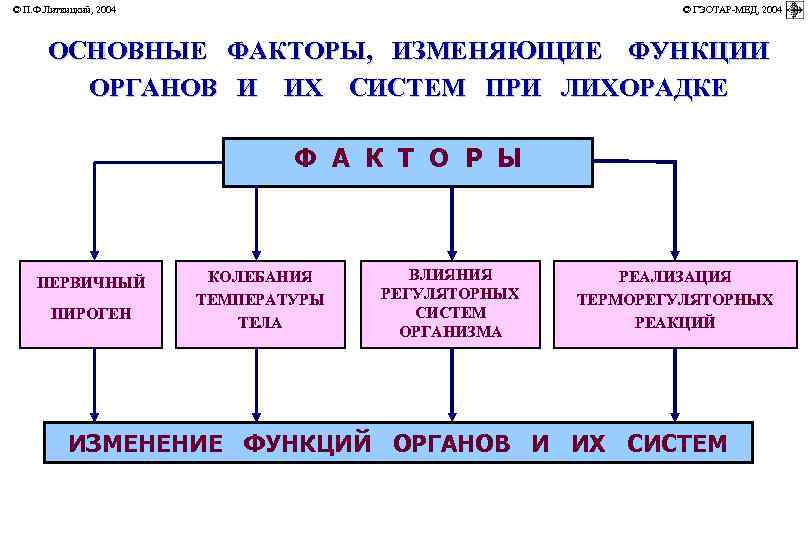 © П. Ф. Литвицкий, 2004         ©