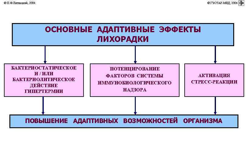 © П. Ф. Литвицкий, 2004         ©