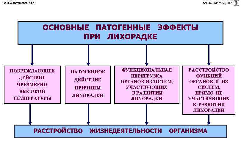 © П. Ф. Литвицкий, 2004         ©