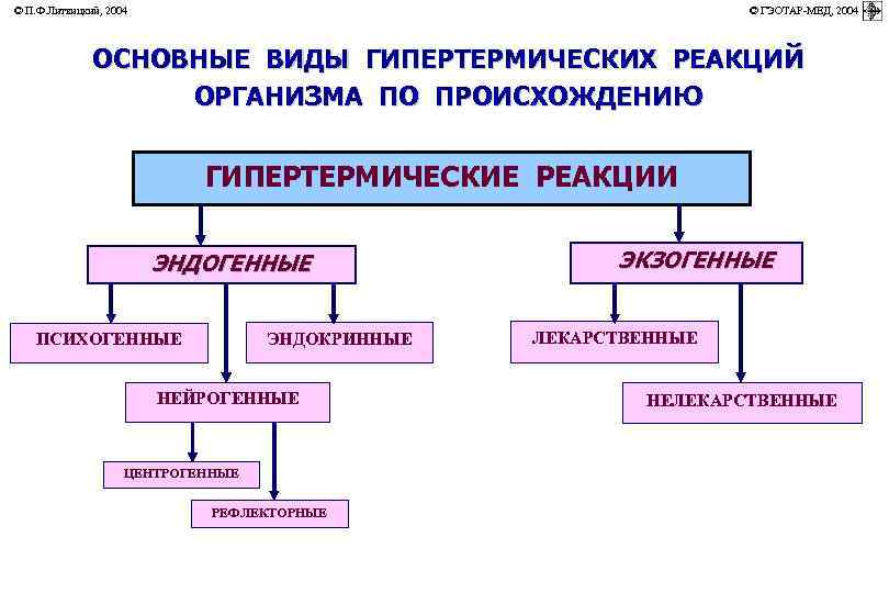 © П. Ф. Литвицкий, 2004         ©