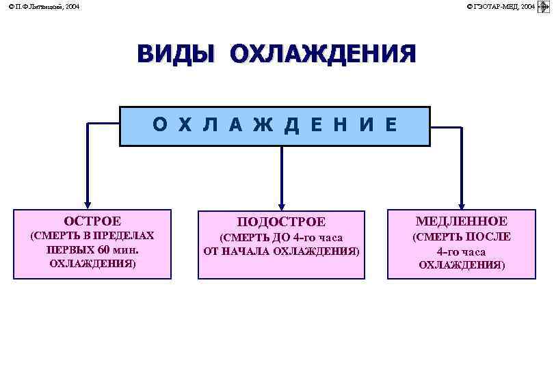 © П. Ф. Литвицкий, 2004         ©
