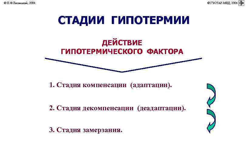 © П. Ф. Литвицкий, 2004         ©