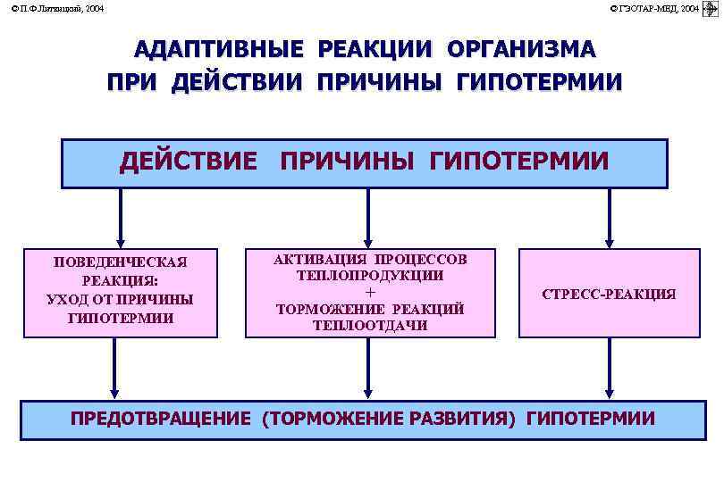 © П. Ф. Литвицкий, 2004         ©
