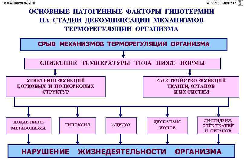 © П. Ф. Литвицкий, 2004         ©
