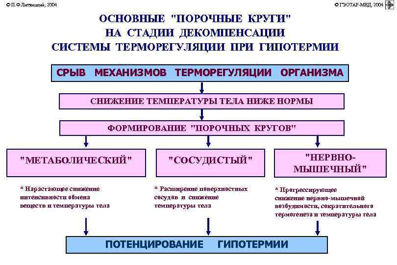 © П. Ф. Литвицкий, 2004         ©