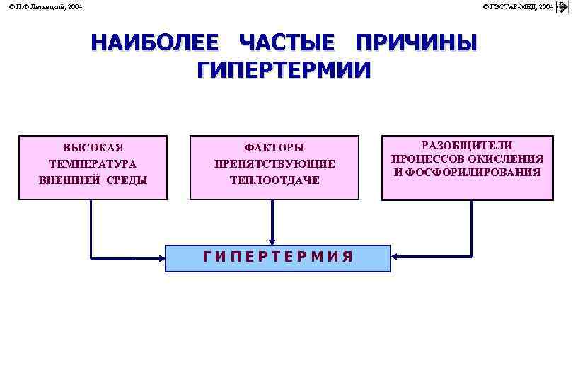 © П. Ф. Литвицкий, 2004         ©