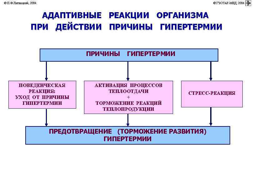 © П. Ф. Литвицкий, 2004         ©