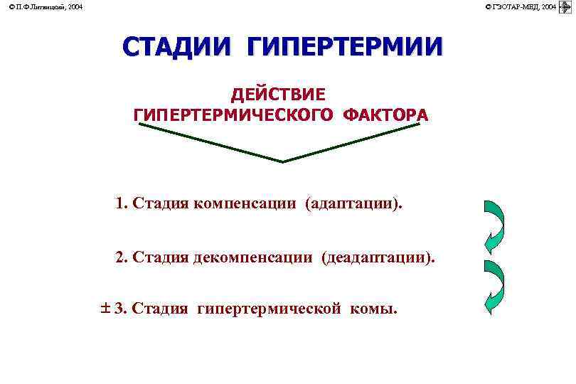 © П. Ф. Литвицкий, 2004         ©