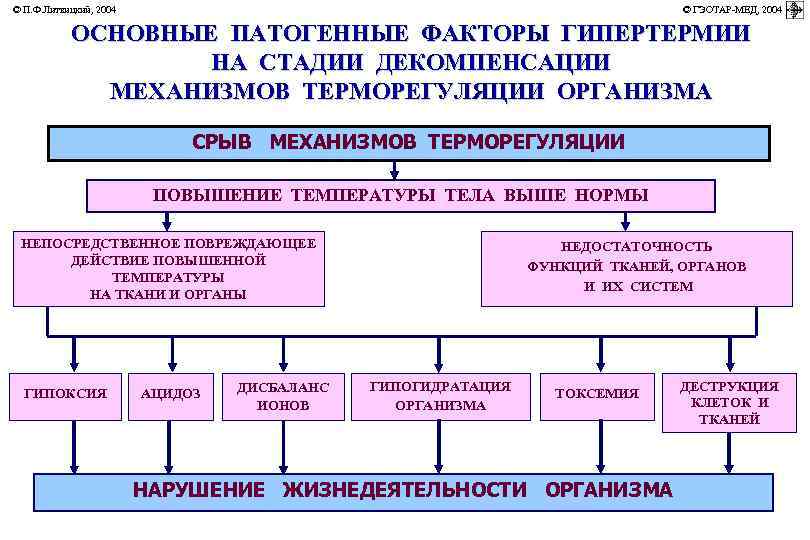 © П. Ф. Литвицкий, 2004         ©