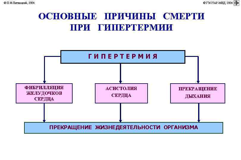 © П. Ф. Литвицкий, 2004         ©