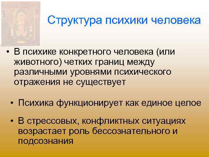 Структура психики человека • В психике конкретного человека (или животного) четких границ между различными