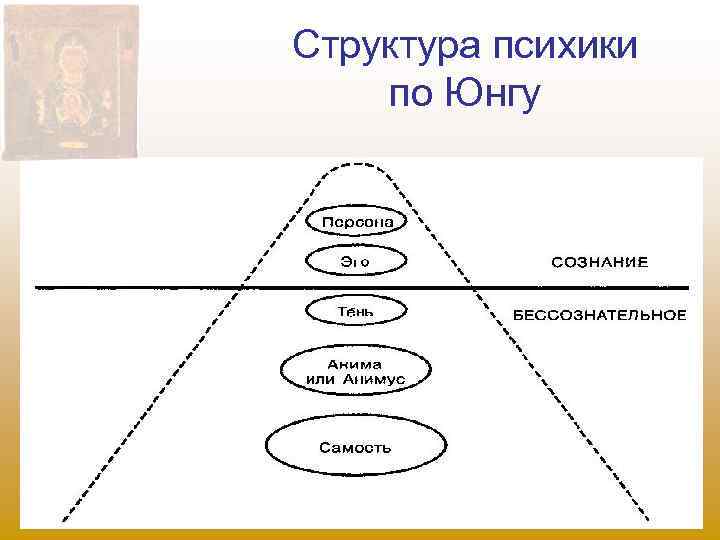 Структура психики по Юнгу 