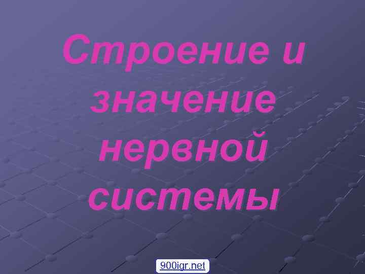 Строение и значение  нервной системы 900 igr. net 