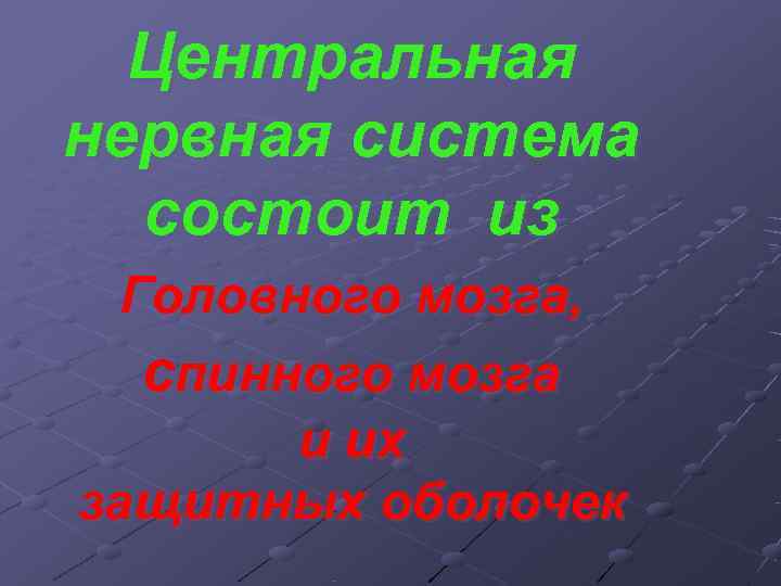  Центральная нервная система  состоит из  Головного мозга, спинного мозга  
