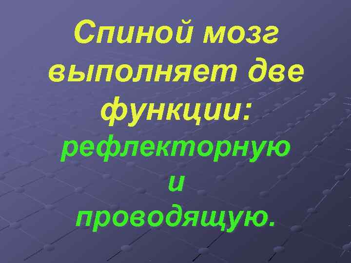  Спиной мозг выполняет две  функции: рефлекторную  и проводящую. 