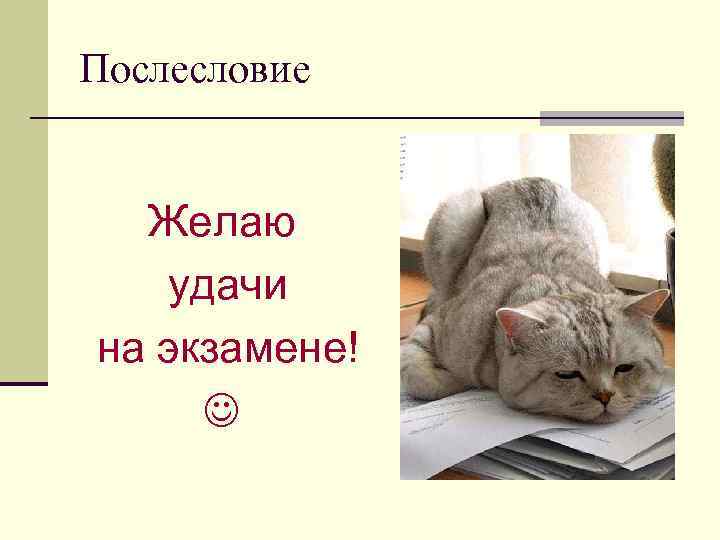 Послесловие Желаю удачи на экзамене!   