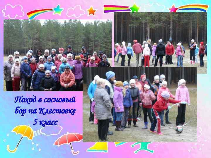 Поход в сосновый бор на Клестовке 5 класс 