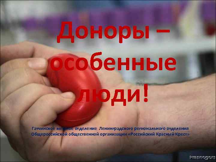   Доноры –  особенные   люди! Гатчинское местное отделение Ленинградского регионального