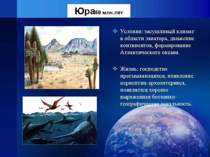 Юра 60 млн. лет  v Условия: засушливый климат   в области экватора,