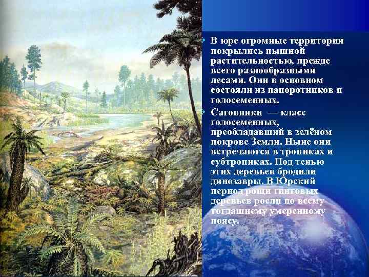 v В юре огромные территории  покрылись пышной  растительностью, прежде  всего разнообразными
