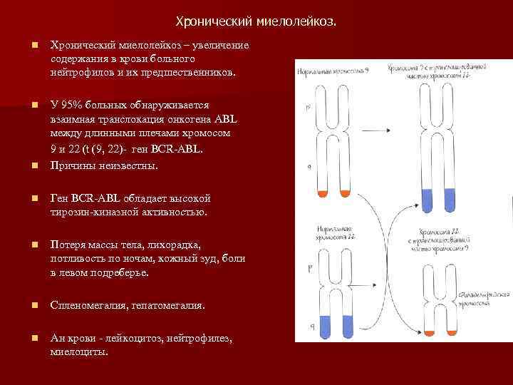       Хронический миелолейкоз. n  Хронический миелолейкоз – увеличение