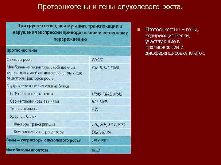 Протоонкогены и гены опухолевого роста.     n  Протоонкогены – гены,