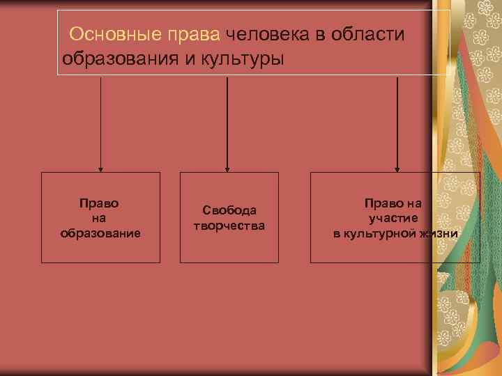  Основные права человека в области образования и культуры  Право   
