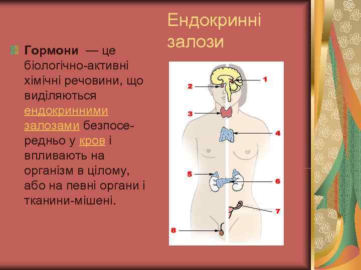       Ендокринні Гормони — це    