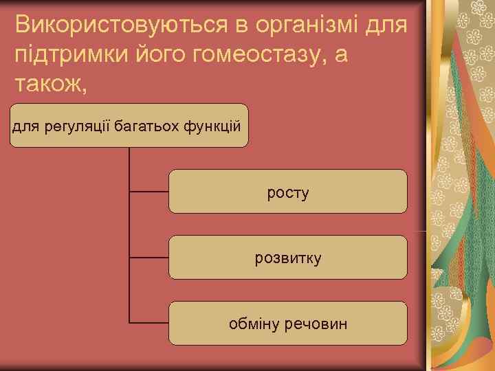Використовуються в організмі для підтримки його гомеостазу, а також, для регуляції багатьох функцій 