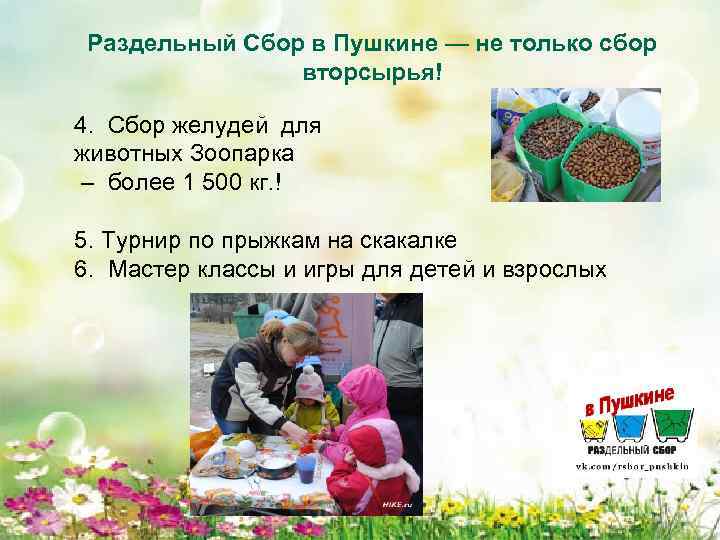 Раздельный Сбор в Пушкине — не только сбор вторсырья! 4. Сбор желудей для животных