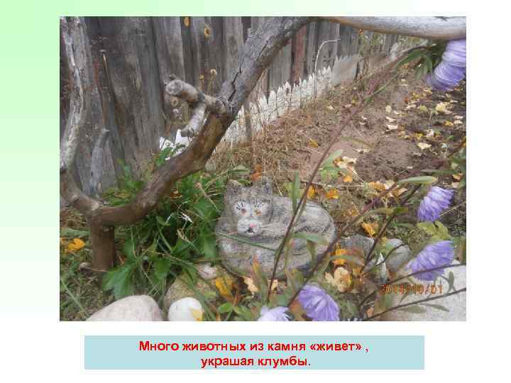 Много животных из камня «живет» , украшая клумбы. 