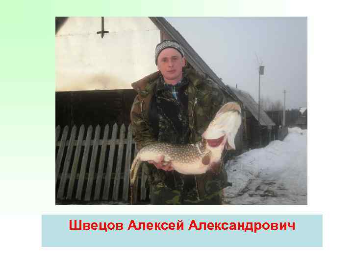 Швецов Алексей Александрович 