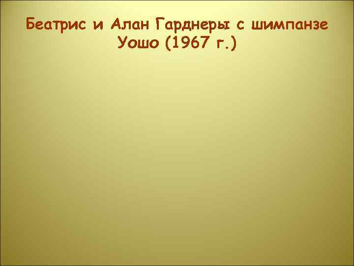 Беатрис и Алан Гарднеры с шимпанзе  Уошо (1967 г. ) 