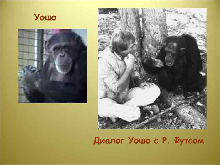 Уошо  Диалог Уошо с Р. Футсом 