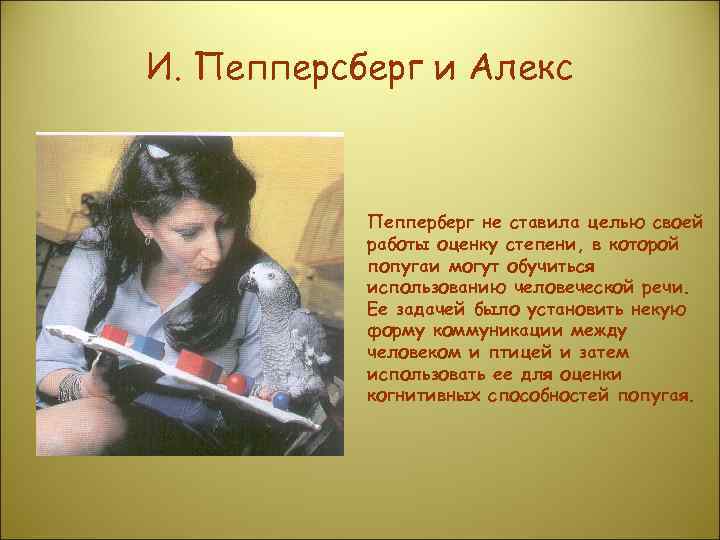 И. Пепперсберг и Алекс    Пепперберг не ставила целью своей  работы