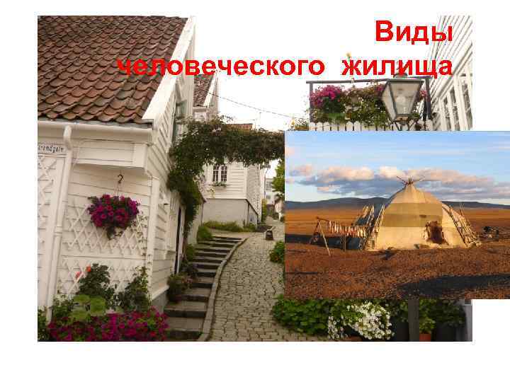 Виды человеческого жилища Виды человеческого жилища