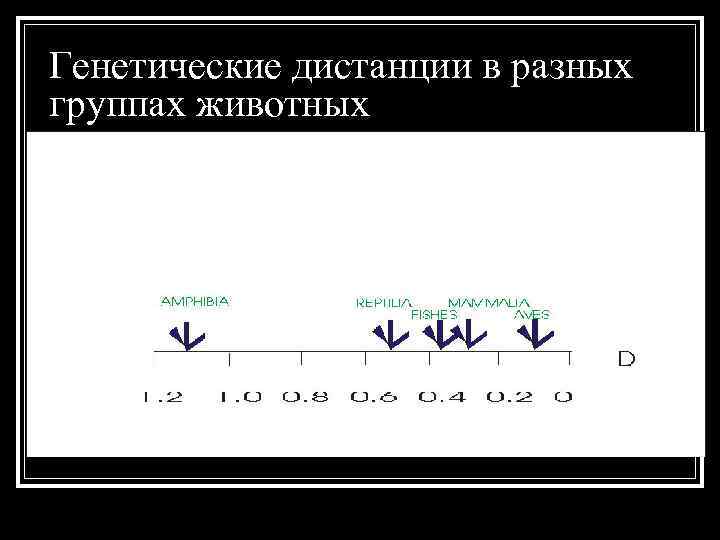 Генетические дистанции в разных группах животных 