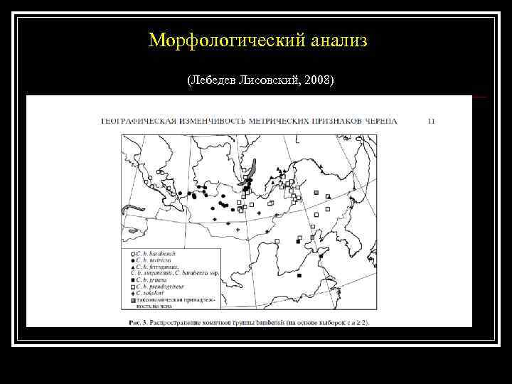 Морфологический анализ (Лебедев Лисовский, 2008) 